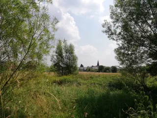 Locher Wiesen in Reusrath