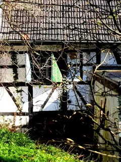 Schwanenmühle