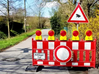 Krötenwanderung Im Schwanenfeld