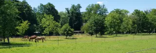 2020 Schwanenmühle aus Sicht Krüdersheide