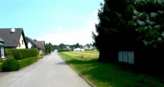 2009 Kirschbaum Ecke Turmstraße_Wiescheid