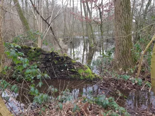 2021 Ehemalige Fischteiche_Wasserburg Haus Graven_Graf-von-Mirbach-Weg